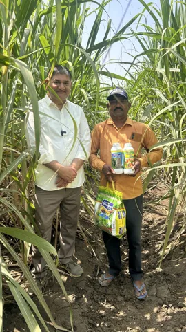 Field visit with sugarcane growers